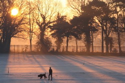1374203_winter_sun_2.jpg